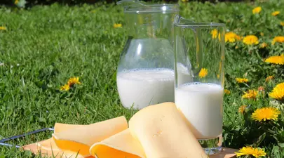 Alimente bogate în calciu. Cele mai bune surse naturale de calciu